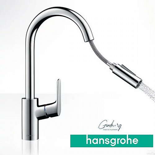 ��� ����� ���� 31813000 Hansgrohe Focus ����