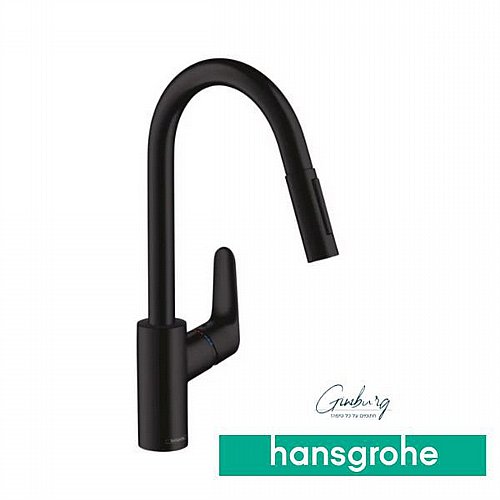 ��� ����� ���� 31813000 Hansgrohe Focus ����