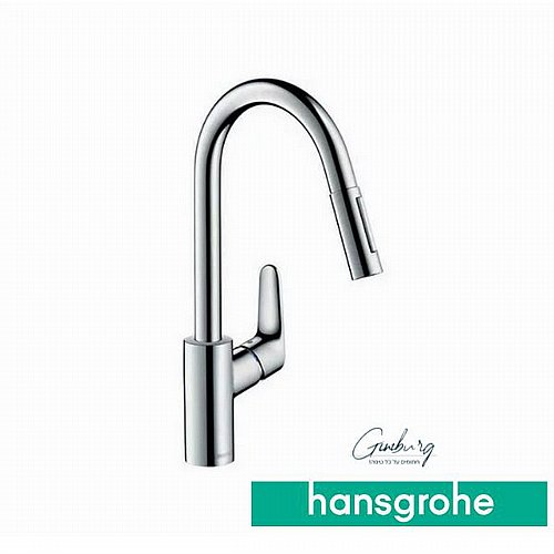 ��� ����� ���� 31815000 Hansgrohe Focus ������