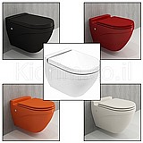 ���� ����� ���� BOCCHI ��� ������� ��� �� ������ �����